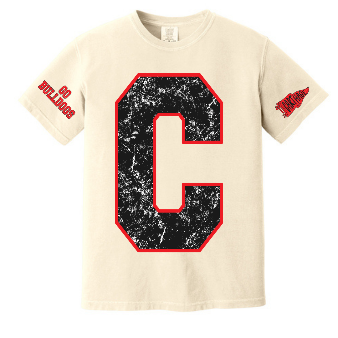 Vintage School REGULAR shirts