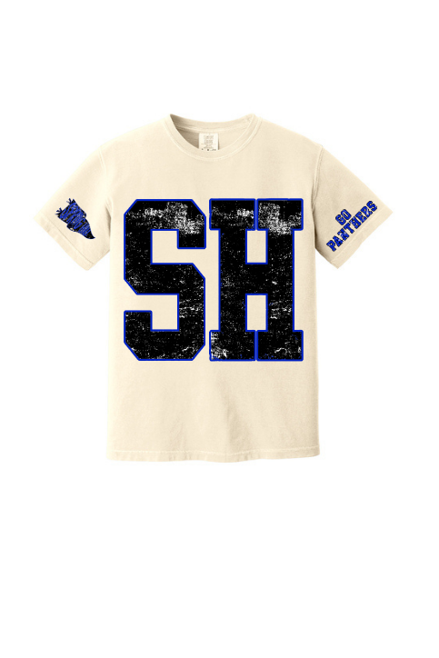 Vintage School REGULAR shirts