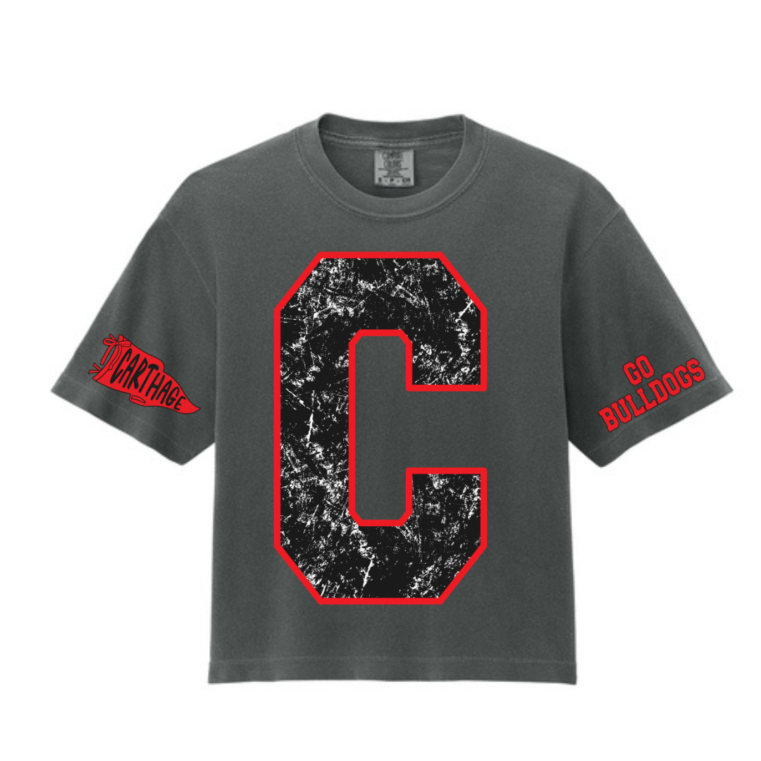Vintage School CROP shirts