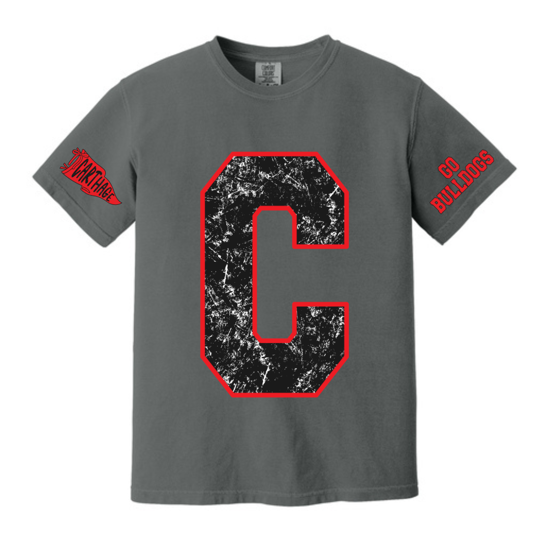 Vintage School REGULAR shirts
