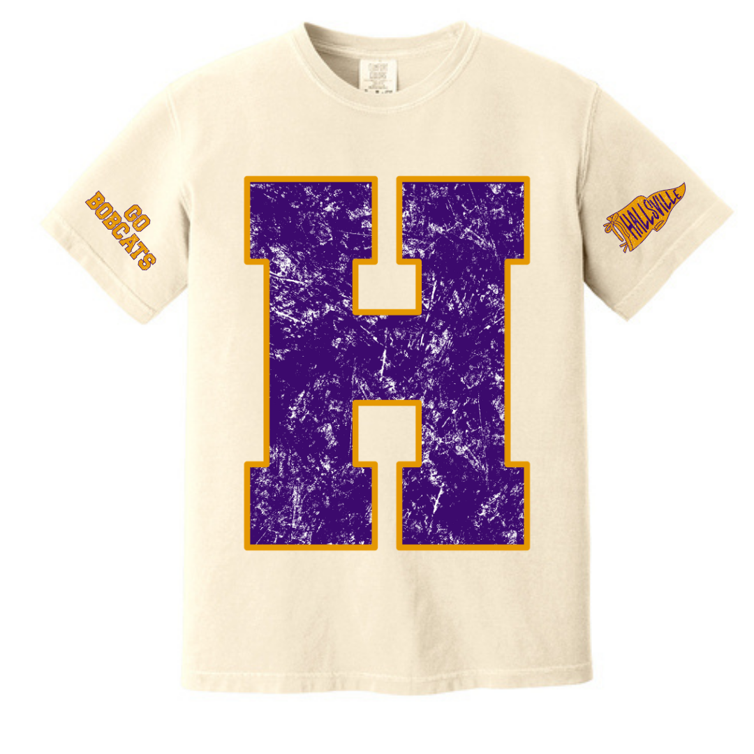 Vintage School REGULAR shirts